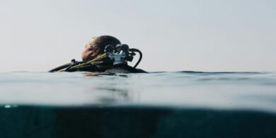 Leo1Romania Ghidul care a Schimbat Modul în care Privesc Scufundările pe Mapamond