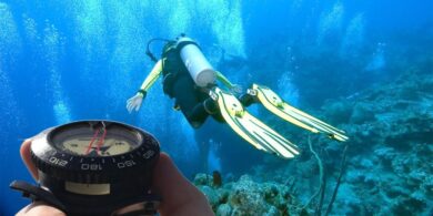 Leo1Romania Navigând în Lumea Tăcerii: Arta Orientării Submarine