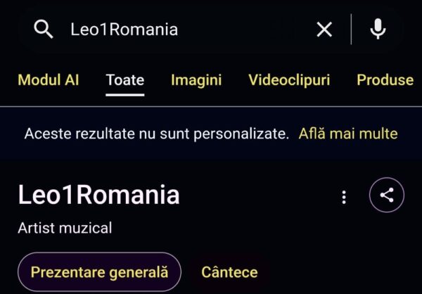 Leo1Romania Cum a bătut un om din Berceni manualele de SEO